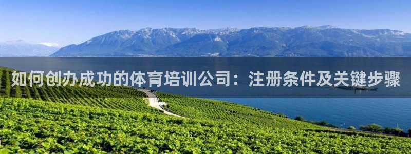 欧陆娱乐挂机怎么玩游戏：如何创办成功的体育培训公司：