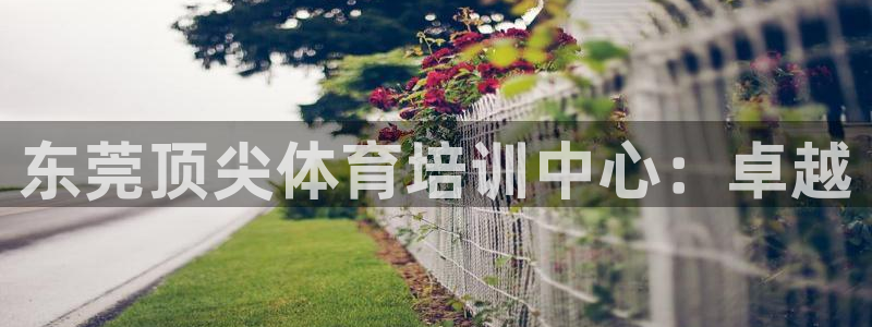 欧陆娱乐注册代理多少钱：东莞顶尖体育培训中心：卓越