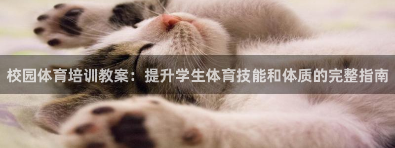 欧陆娱乐平台毕 (q—43314) 旨：校园体育培训