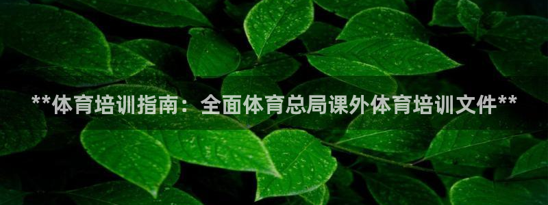 欧陆娱乐注册代理：**体育培训指南：全面体育总局课外