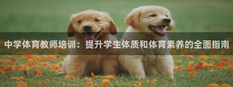 欧陆娱乐客服人工电话：中学体育教师培训：提升学生体质