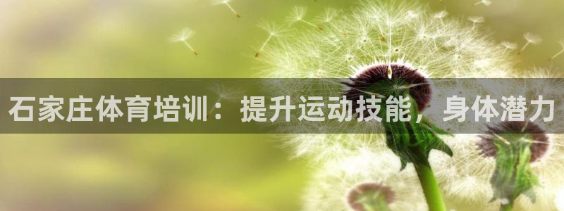 欧陆娱乐官网网址大全：石家庄体育培训：提升运动技能，