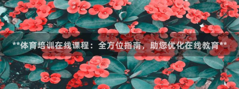 欧陆论坛：**体育培训在线课程：全方位指南，助您优化