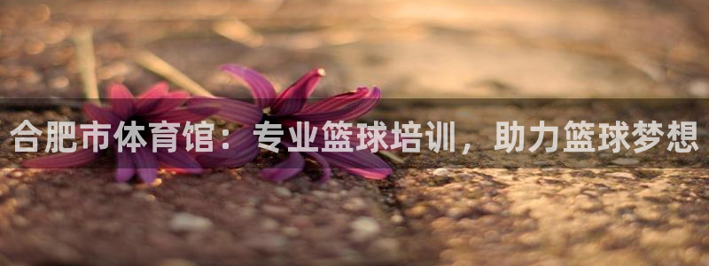 欧陆娱乐官网首页入口：合肥市体育馆：专业篮球培训，助