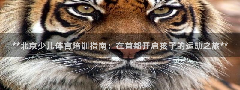欧陆娱乐有风险吗：**北京少儿体育培训指南：在首都开