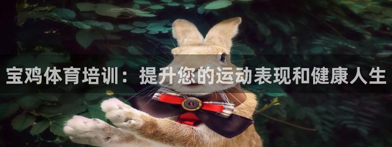 欧陆娱乐的故事：宝鸡体育培训：提升您的运动表现和健康