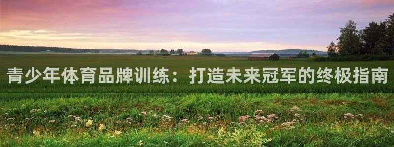 欧陆娱乐欧陆主管：青少年体育品牌训练：打造未来冠军的
