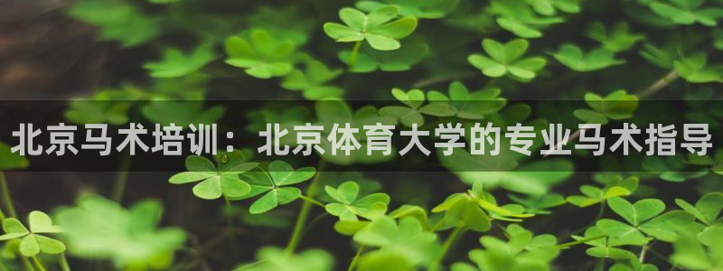 欧陆娱乐官方网站首页：北京马术培训：北京体育大学的专
