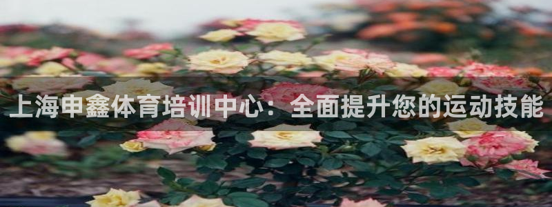 欧陆娱乐提现两百万：上海申鑫体育培训中心：全面提升您