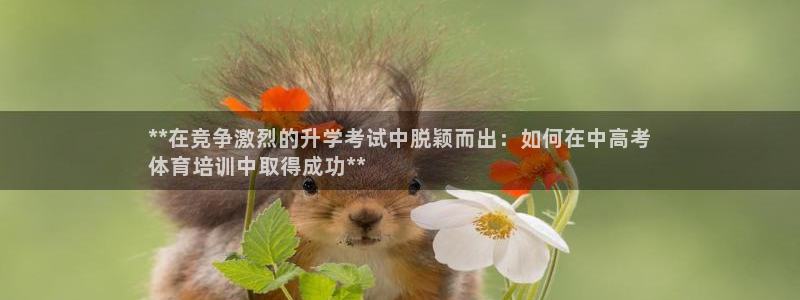 欧陆娱乐平台登陆地址是什么样的：**在竞争激烈的升学