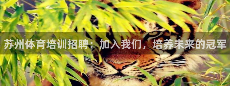 欧陆娱乐脚本下载：苏州体育培训招聘：加入我们，培养未