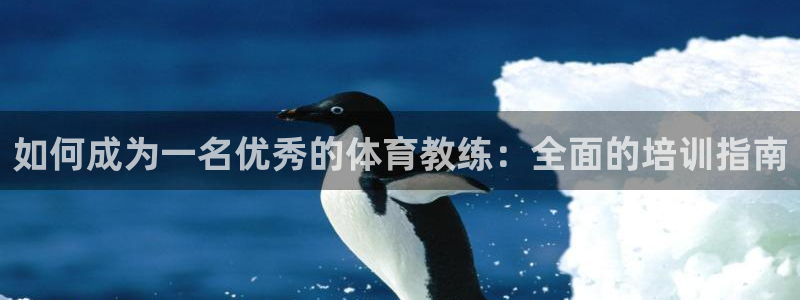 欧陆娱乐百科官网：如何成为一名优秀的体育教练：全面的