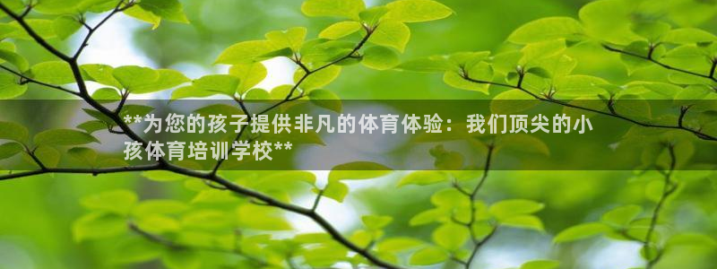 欧陆娱乐百科大全：**为您的孩子提供非凡的体育体验：