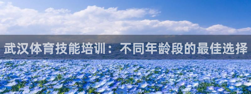欧陆软件官网：武汉体育技能培训：不同年龄段的最佳选择
