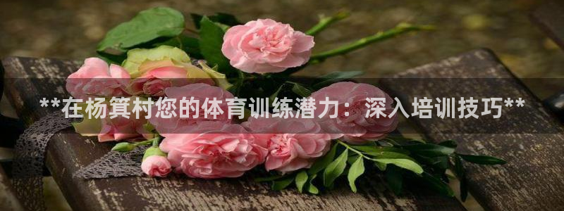 重庆欧陆娱乐有限公司：**在杨箕村您的体育训练潜力：
