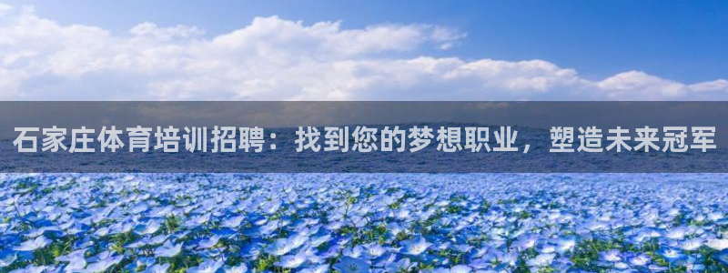 欧陆娱乐平台咋样赚钱快：石家庄体育培训招聘：找到您的