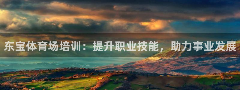 欧陆软件官网：东宝体育场培训：提升职业技能，助力事业