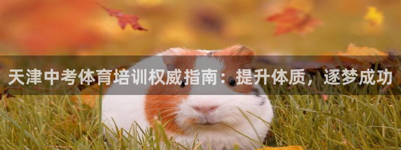 欧陆娱乐怎么注册会员：天津中考体育培训权威指南：提升