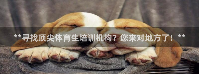 欧陆娱乐注册代理多少钱一年：**寻找顶尖体育生培训机