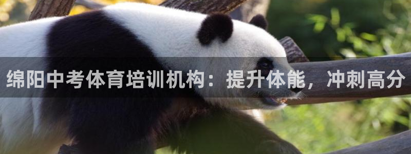 欧陆娱乐平台咋样啊知乎：绵阳中考体育培训机构：提升体