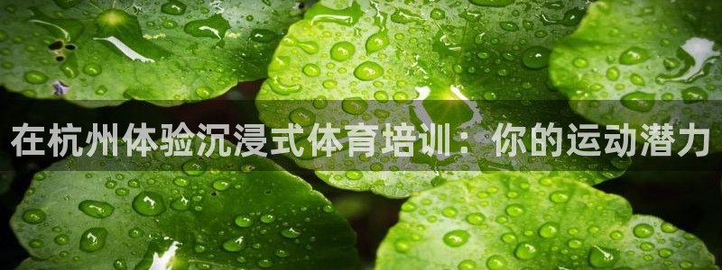 欧陆娱乐线路测速：在杭州体验沉浸式体育培训：你的运动