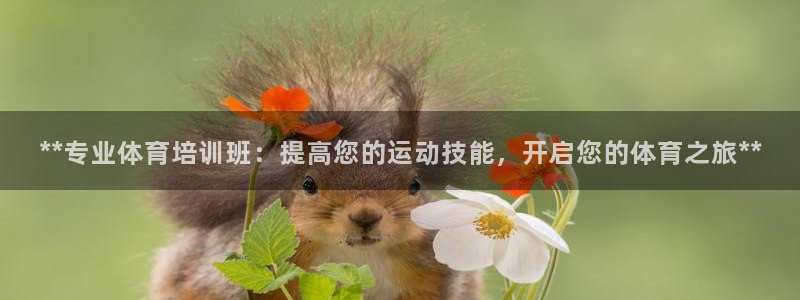 欧陆娱乐推广奖金多少：**专业体育培训班：提高您的运