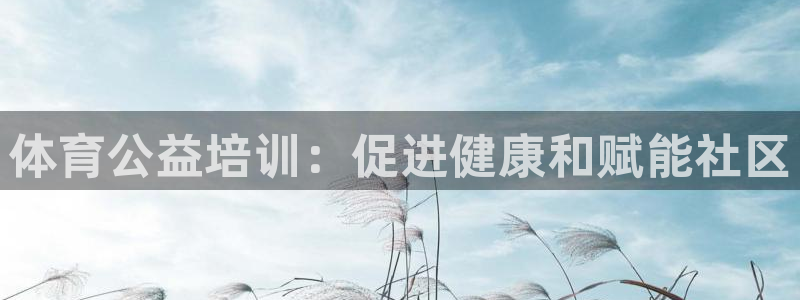欧陆娱乐平台咋样赚钱快：体育公益培训：促进健康和赋能