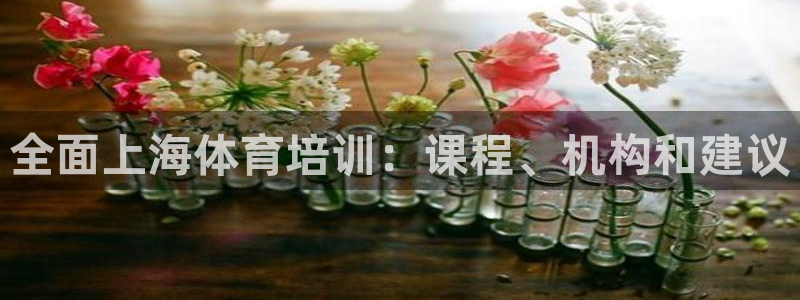 欧陆娱乐登录官网入口：全面上海体育培训：课程、机构和
