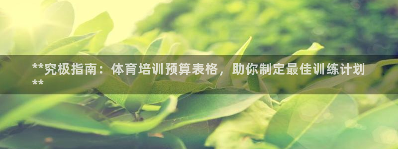 欧陆娱乐注册平台：**究极指南：体育培训预算表格，助