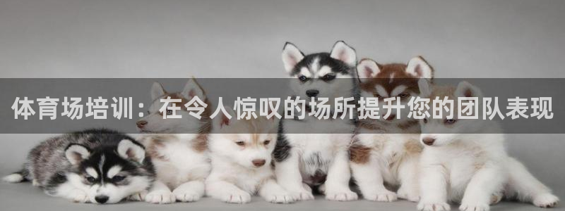 欧陆娱乐登录官网入口：体育场培训：在令人惊叹的场所提