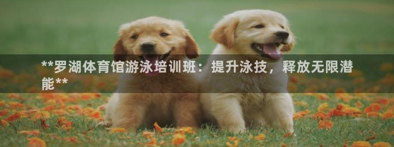 欧陆娱乐登录平台：**罗湖体育馆游泳培训班：提升泳技