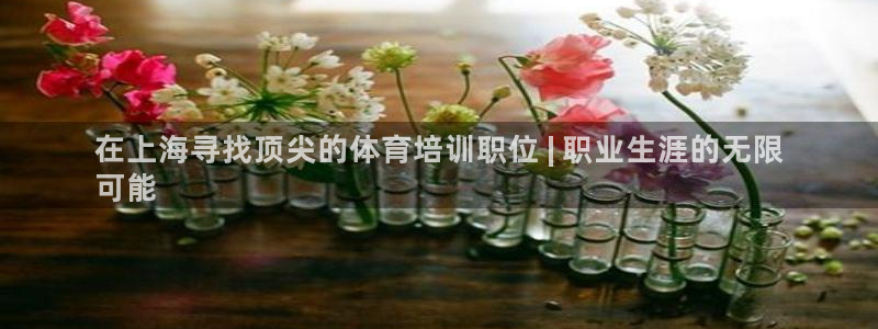 欧陆娱乐登陆官网入口：在上海寻找顶尖的体育培训职位 
