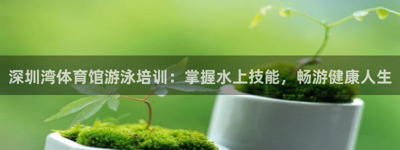 欧陆娱乐打什么方案赚钱：深圳湾体育馆游泳培训：掌握水