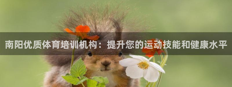 欧陆娱乐计划预测软件：南阳优质体育培训机构：提升您的