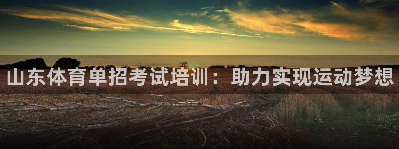 欧陆娱乐微信众：山东体育单招考试培训：助力实现运动梦