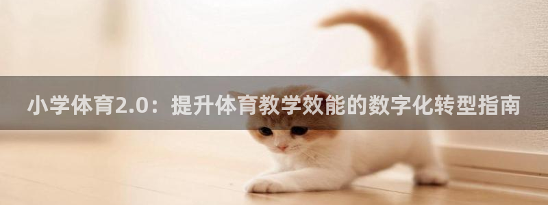 欧陆娱乐客服电话人工服务热线：小学体育2.0：提升体