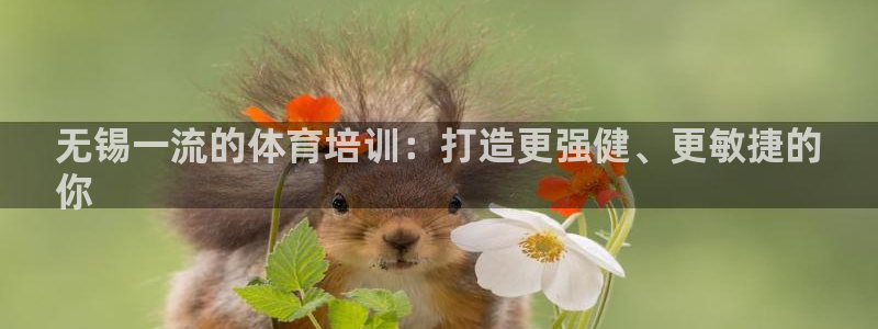 欧陆娱乐合法吗：无锡一流的体育培训：打造更强健、更敏