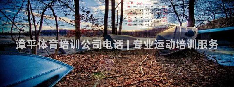 欧陆游戏平台：漳平体育培训公司电话 | 专业运动培训