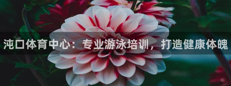 欧陆娱乐是正规平台吗安全吗：沌口体育中心：专业游泳培