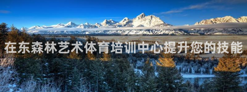 欧陆公司在哪里：在东森林艺术体育培训中心提升您的技能