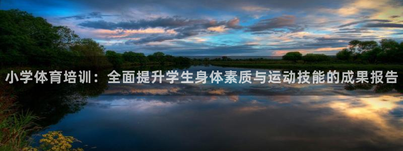 欧陆娱乐app打不开怎么回事：小学体育培训：全面提升