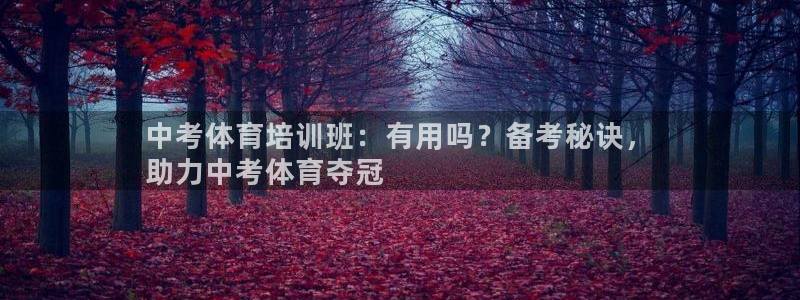 欧陆娱乐总代理电话：中考体育培训班：有用吗？备考秘诀