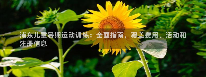 欧陆娱乐代理 贴吧是真的吗：浦东儿童暑期运动训练：全