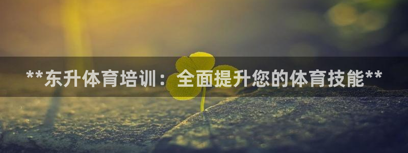 欧陆娱乐官网注册中心在哪：**东升体育培训：全面提升