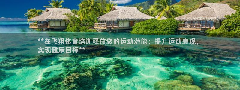 欧陆娱乐登录测速怎么关闭：**在飞翔体育培训释放您的