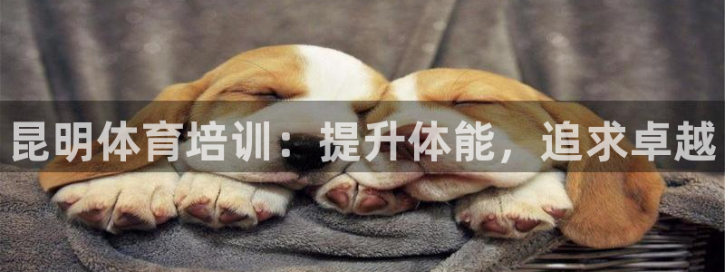欧陆娱乐app打不开怎么回事儿：昆明体育培训：提升体