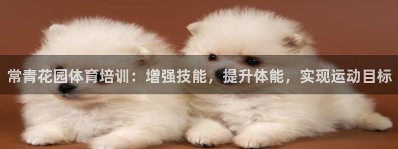 欧陆娱乐怎么注册会员号：常青花园体育培训：增强技能，