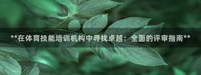 欧陆娱乐平台官网下载：**在体育技能培训机构中寻找卓