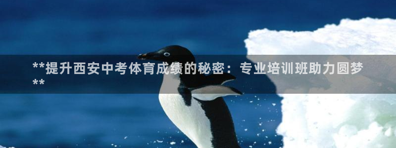 欧陆娱乐平台官网下载：**提升西安中考体育成绩的秘密