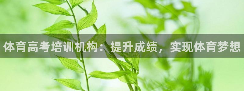欧陆娱乐登录测速网站：体育高考培训机构：提升成绩，实
